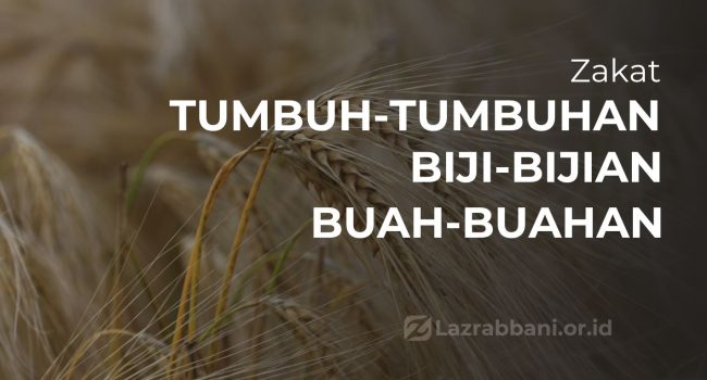 Zakat Tumbuh-tumbuhan, Biji-bijian dan Buah – buahan