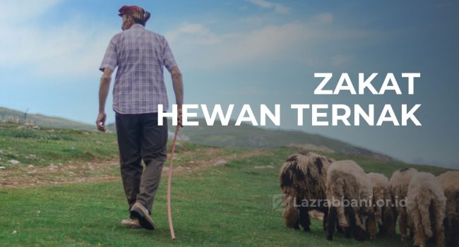 Zakat Hewan Ternak